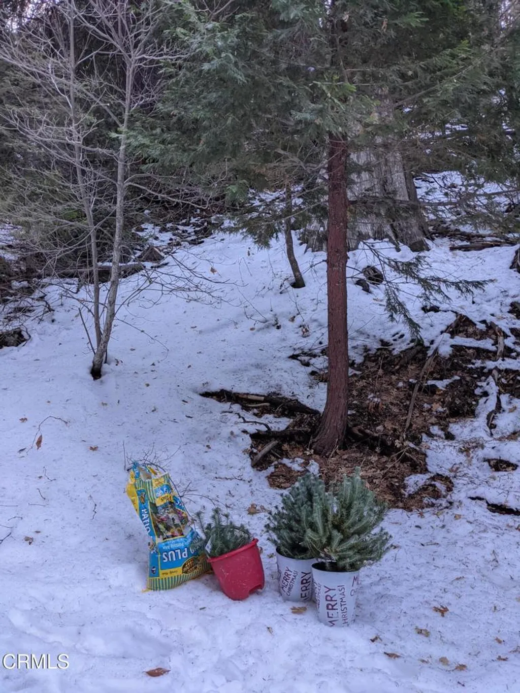 Additional image 7 of Fleming Creek, Lake Arrowhead, CA 92352