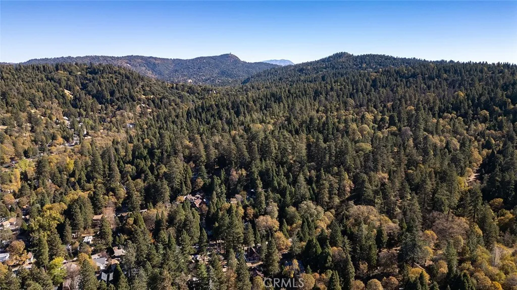 Additional image 33 of 461 Log Lane, Crestline, CA 92325