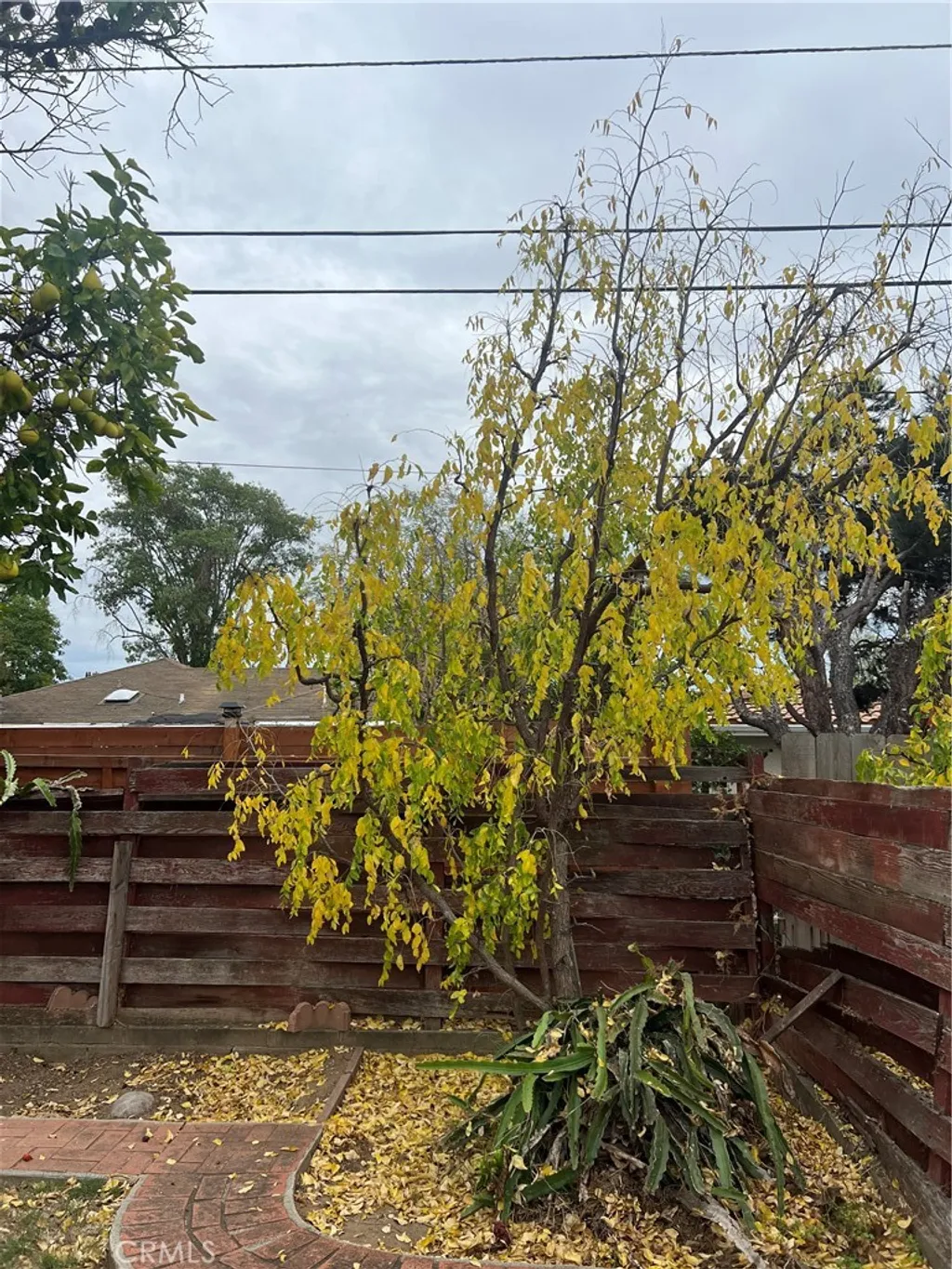 Additional image 36 of 5251 Laurel Street, San Diego, CA 92105