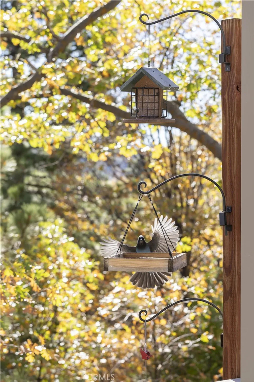 Additional image 34 of 1010 Black Oaks Dr, Lake Arrowhead, CA 92352