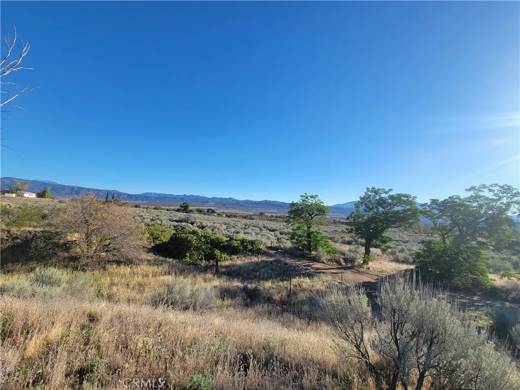 Additional image 72 of 44451 Jay Dr, Anza, CA 92539