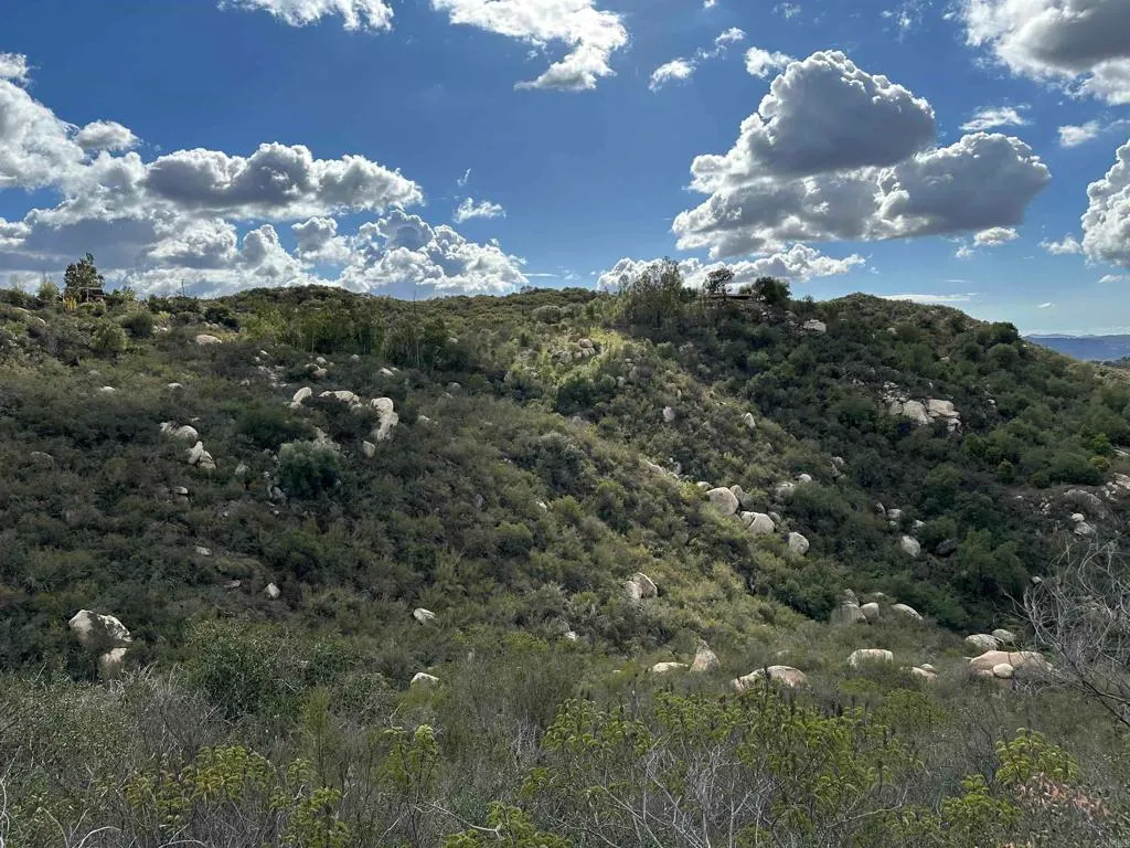 Additional image 57 of 2494 Lane Ln, Fallbrook, CA 92028