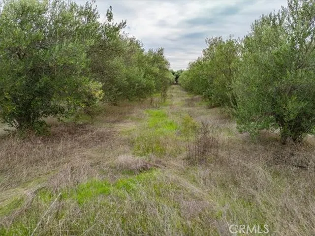 Additional image 115 of 5287 Barham Avenue, Corning, CA 96021