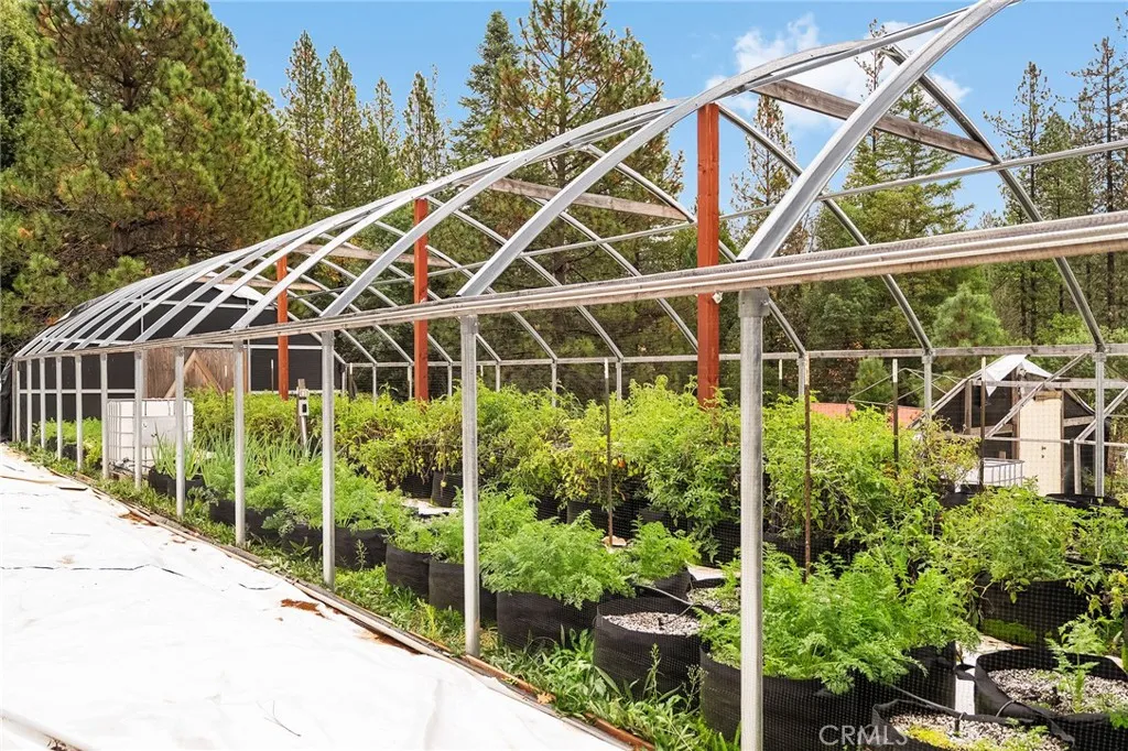 Additional image 51 of 18774 Challenge Cut Off Road, Forbestown, CA 95941