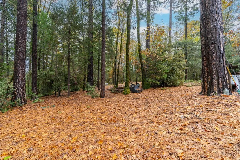 Additional image 51 of 16376 Stage Road, Forest Ranch, CA 95942