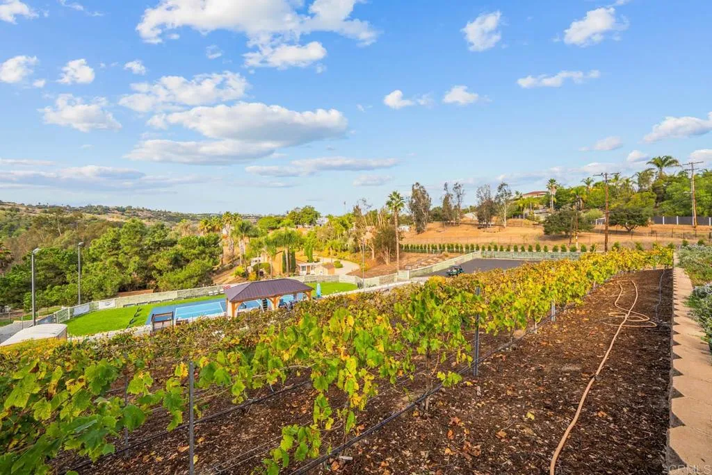 Additional image 129 of 1569 Via Monserate, Fallbrook, CA 92028