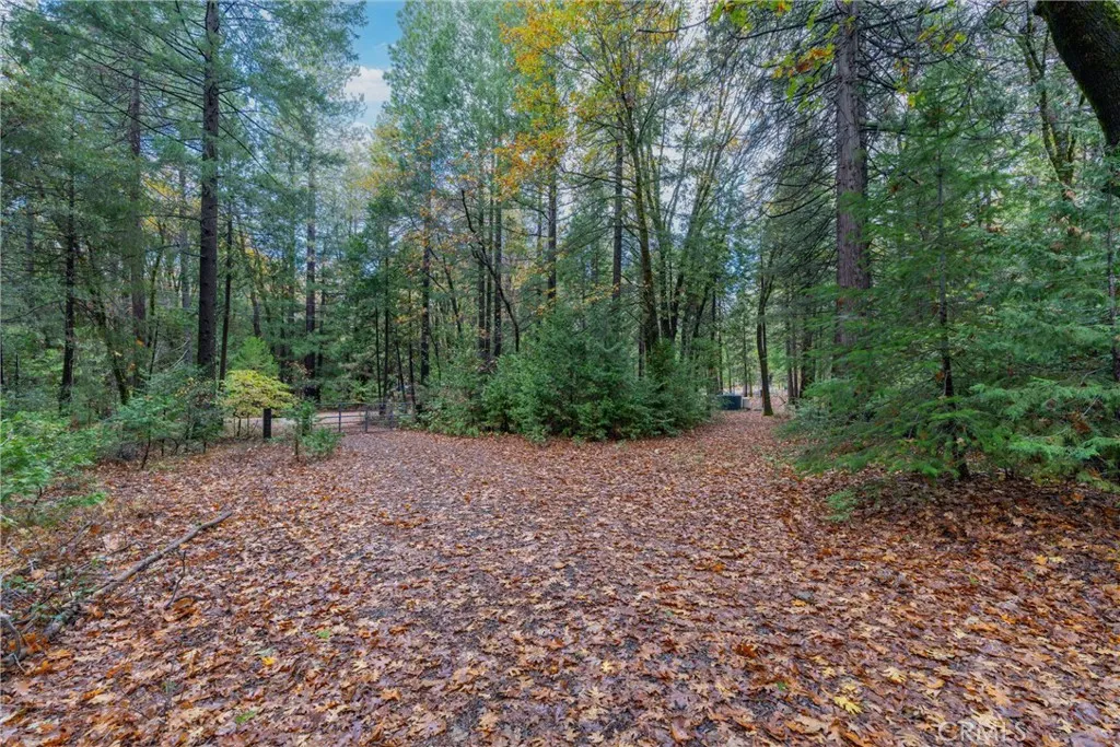 Additional image 36 of 16376 Stage Road, Forest Ranch, CA 95942