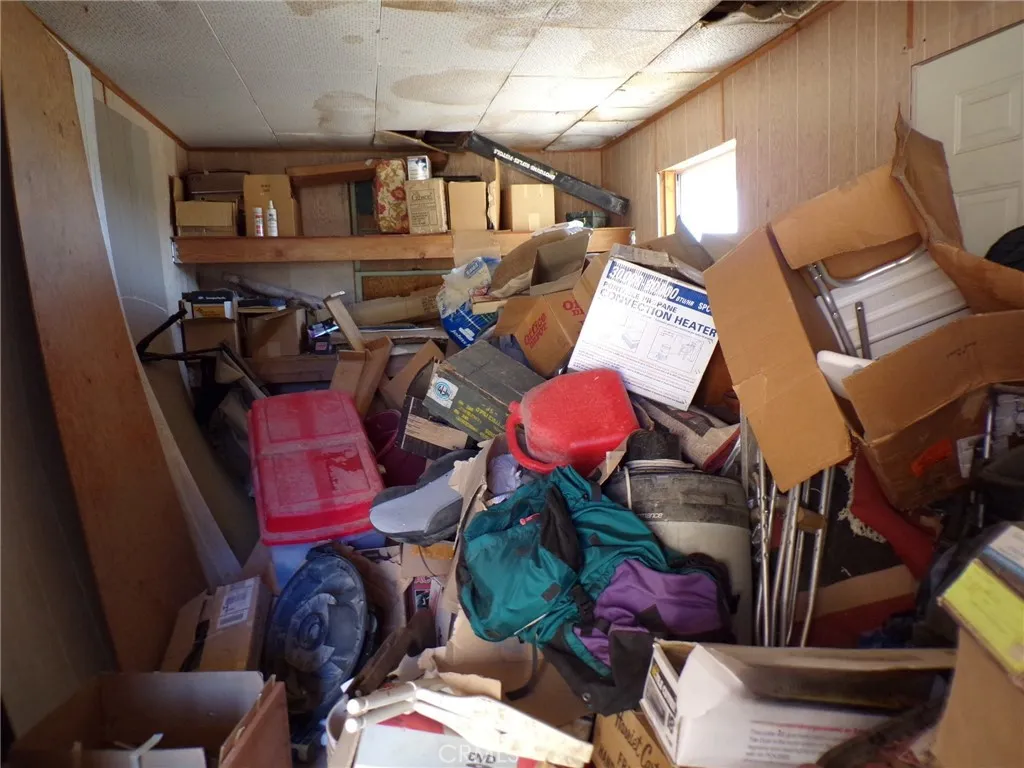 Additional image 12 of Cholla, Johnson Valley, CA 92285