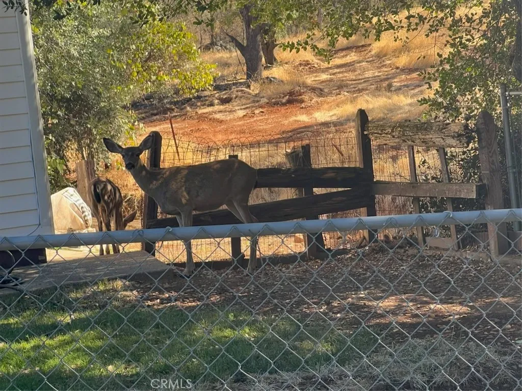 Additional image 86 of 94 Highlands Boulevard, Oroville, CA 95966