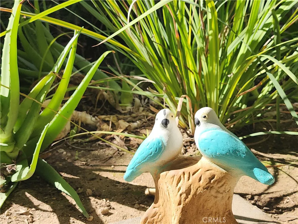 Additional image 9 of 335 Ridgelake Dr, Placentia, CA 92870