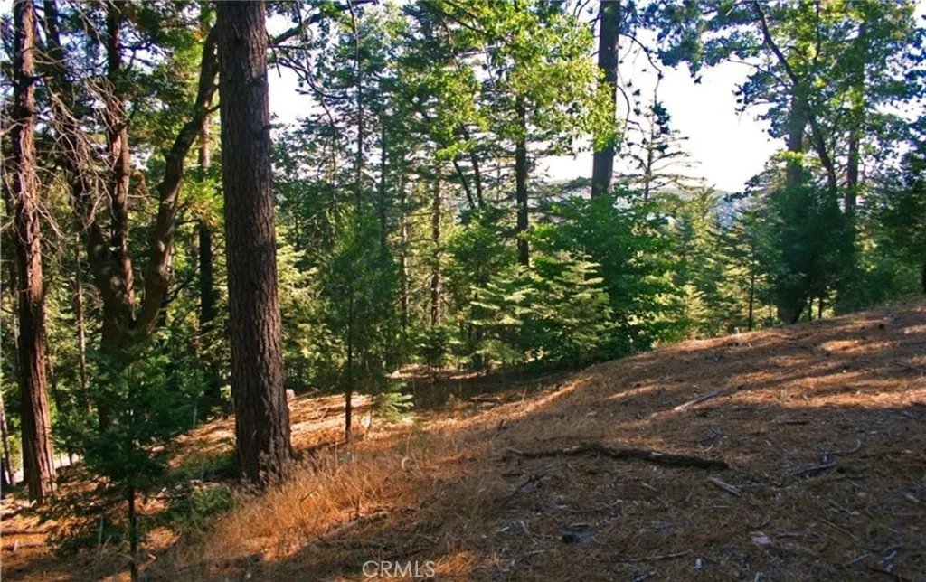 Additional image 8 of 525 Ca-173, Lake Arrowhead, CA 92352