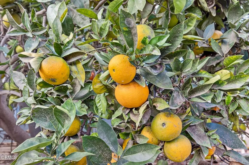 Additional image 48 of 4105 S J Street, Oxnard, CA 93033