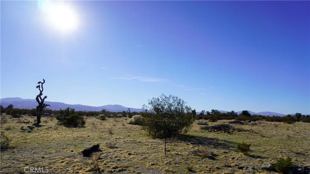 Additional image 45 of 118th, Sun Village, CA 93543