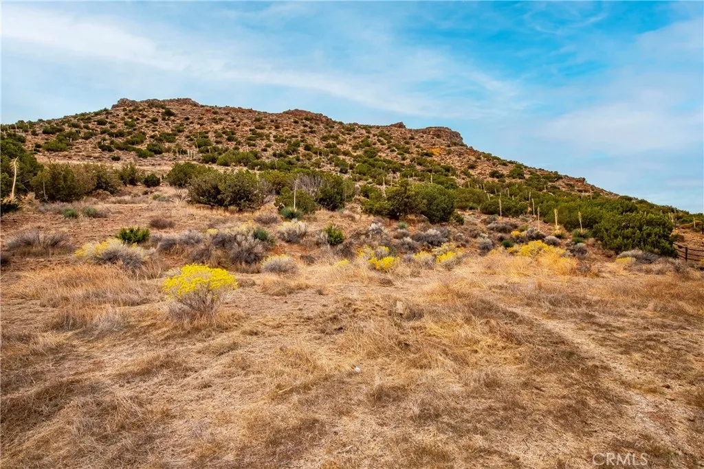 Additional image 47 of 31741 Lake Meadow Rd, Acton, CA 93510