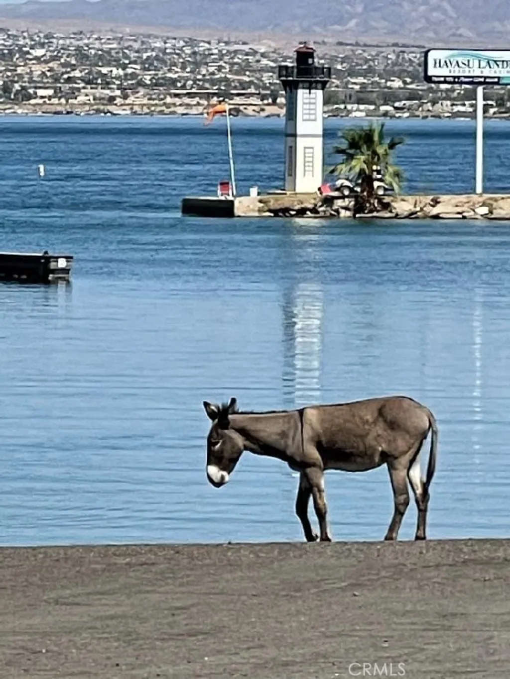 Property image for lot 1 on Desert View, Needles, CA 92363