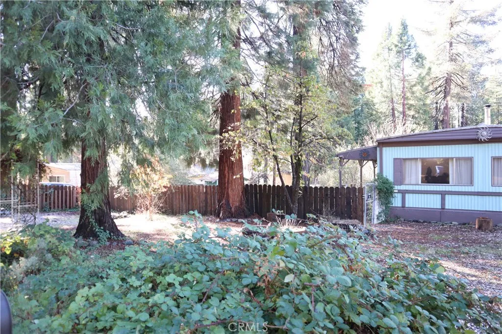 Additional image 53 of 14825 Del Oro Dr, Magalia, CA 95954