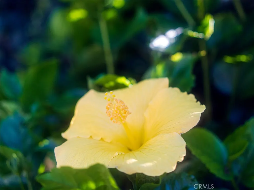 Additional image 40 of 20582 Queens Park Ln, Huntington Beach, CA 92646