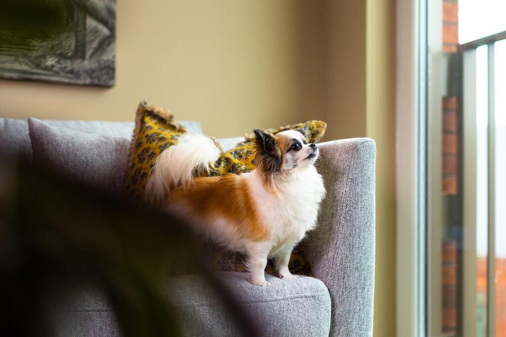 Additional image 9 of Flat 223, Bradford Street, Birmingham, B12