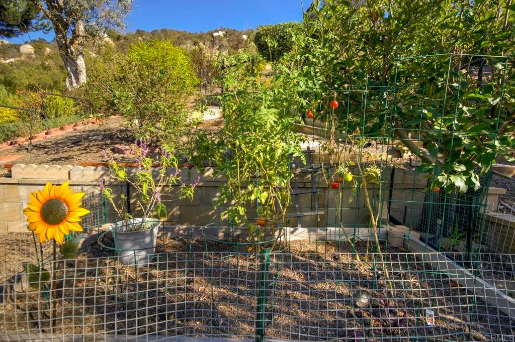 Additional image 76 of 8975 Lawrence Welk Dr Unit 314, Escondido, CA 92026