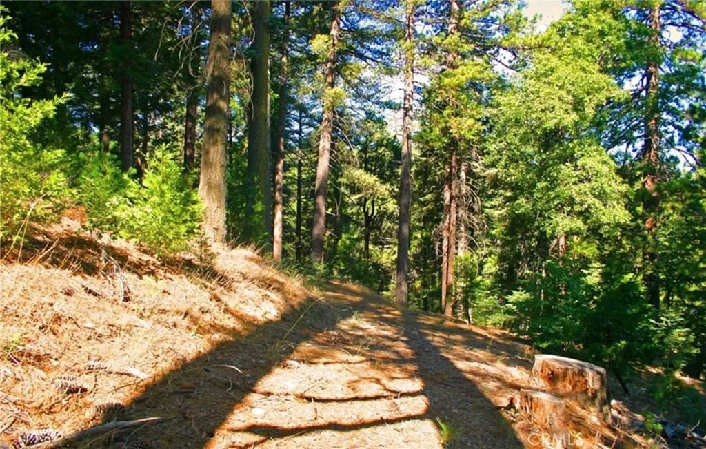 Additional image 14 of 525 Ca-173, Lake Arrowhead, CA 92352