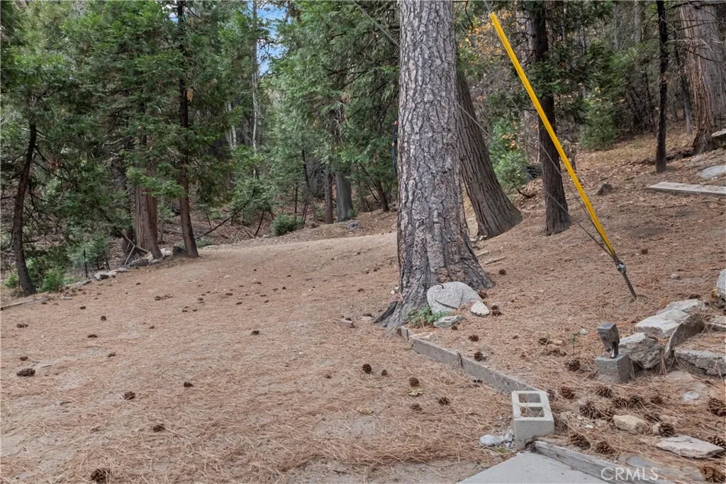 Additional image 73 of 26791 Highway 189, Twin Peaks, CA 92391