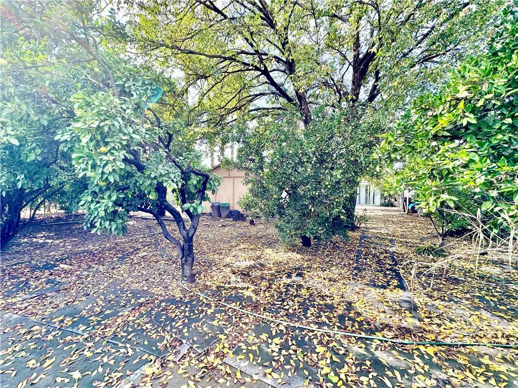 Additional image 27 of 3303 Otono Court, San Bernardino, CA 92407