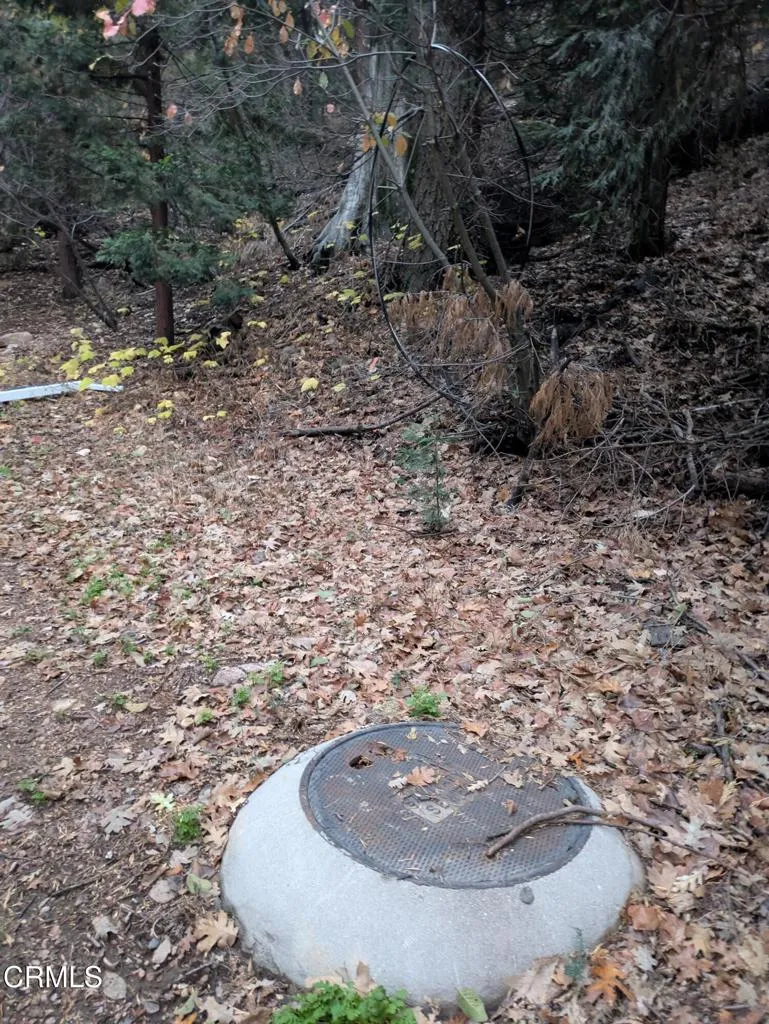 Additional image 23 of Fleming Creek, Lake Arrowhead, CA 92352