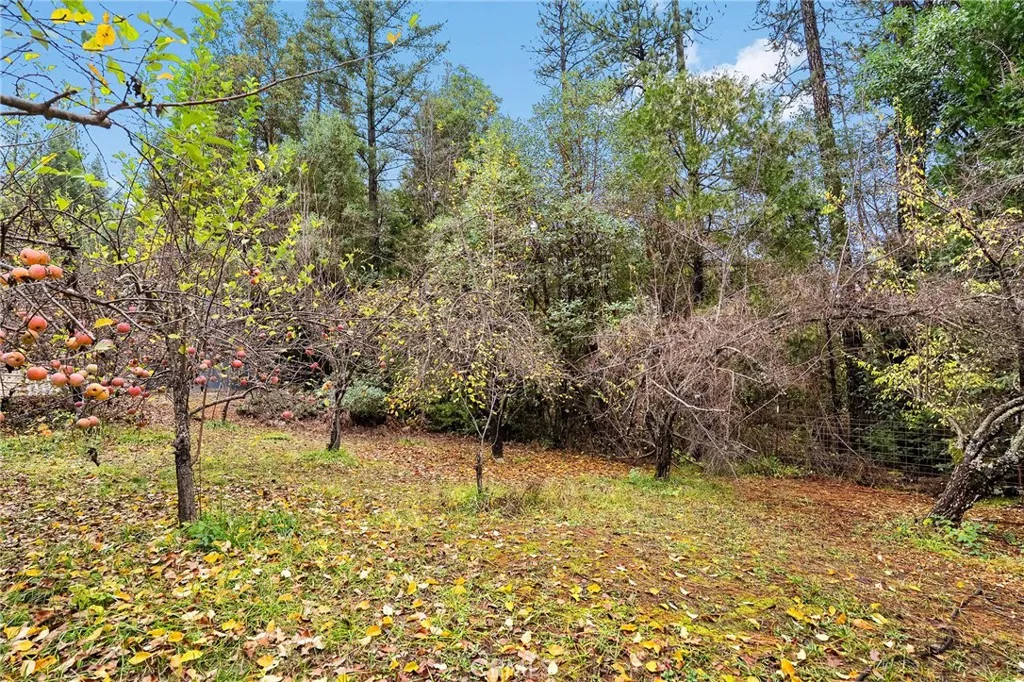 Additional image 121 of 18774 Challenge Cut Off Road, Forbestown, CA 95941