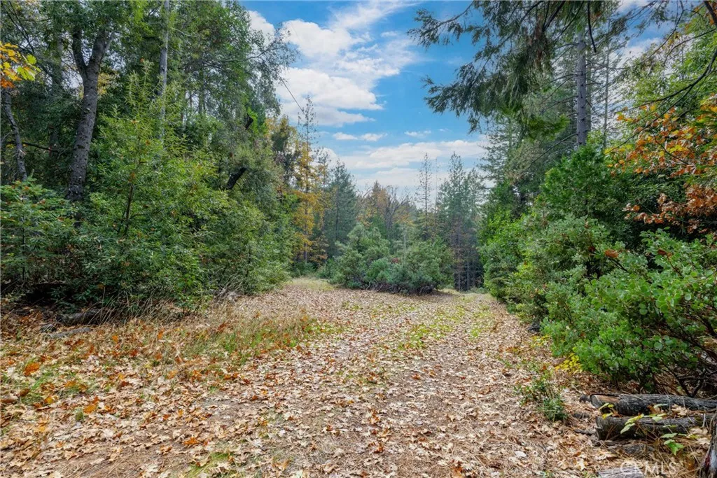 Additional image 32 of 17 Weiss Hill Road, Oroville, CA 95966