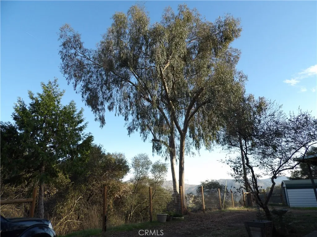 Additional image 87 of 38967 Deerbrook Ln, Squaw Valley, CA 93675