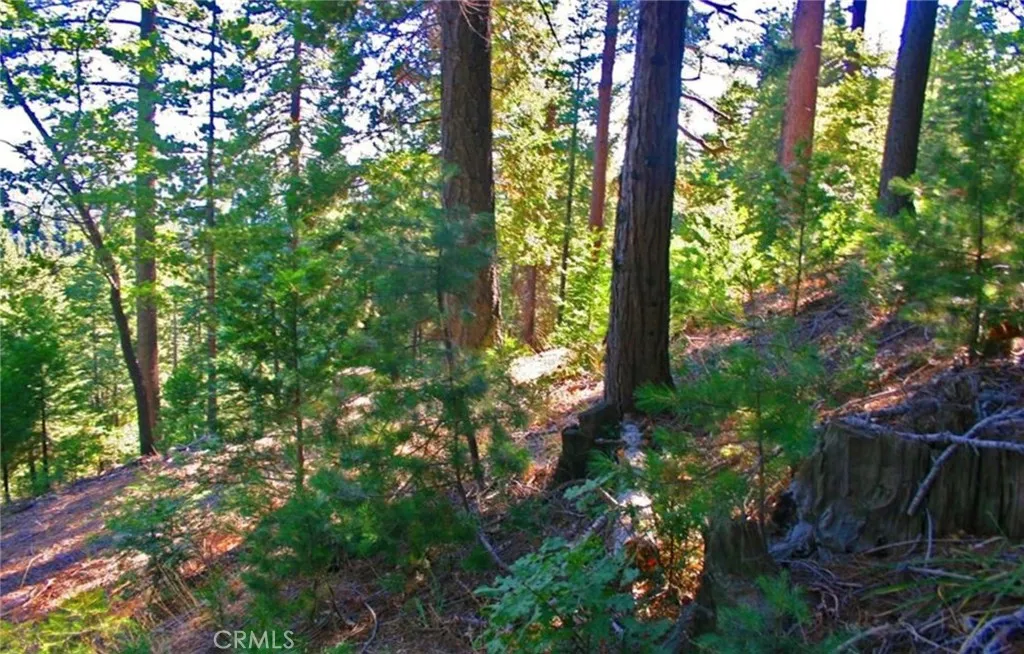 Additional image 28 of 525 Ca-173, Lake Arrowhead, CA 92352