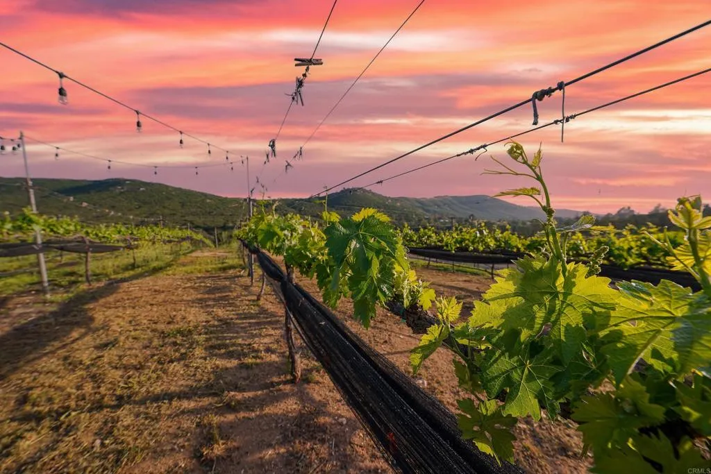 Additional image 44 of 25260 E Old Julian Hwy, Ramona, CA 92065