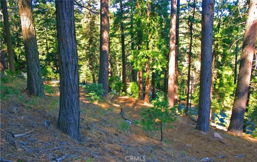 Additional image 26 of 525 Ca-173, Lake Arrowhead, CA 92352