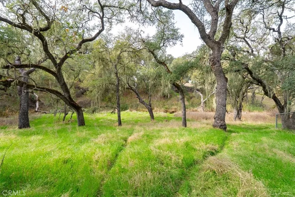 Additional image 46 of 1505 Barley Grain, Paso Robles, CA 93446