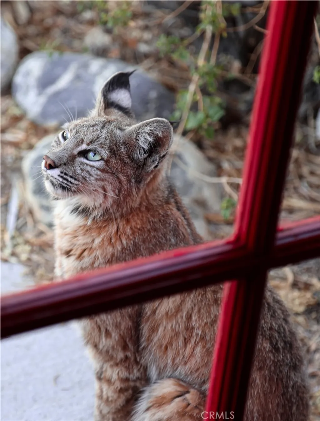 Additional image 20 of 66075 Foothill Dr, Joshua Tree, CA 92252