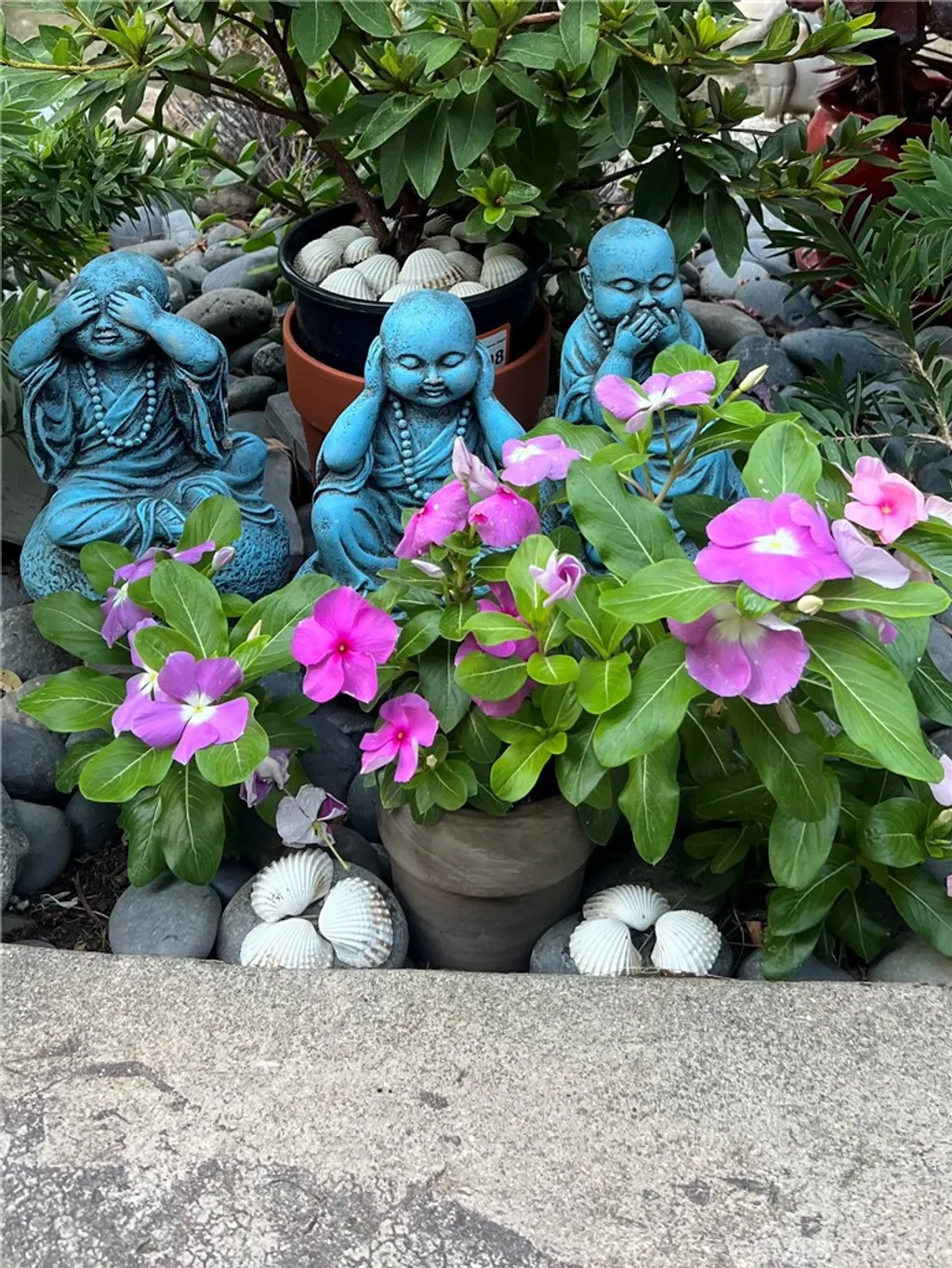 320 W Walnut Street Unit 51, Ontario, CA 91762