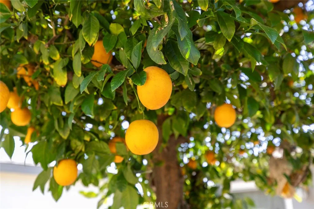 Additional image 39 of 14719 Wyandotte Street, Van Nuys, CA 91405