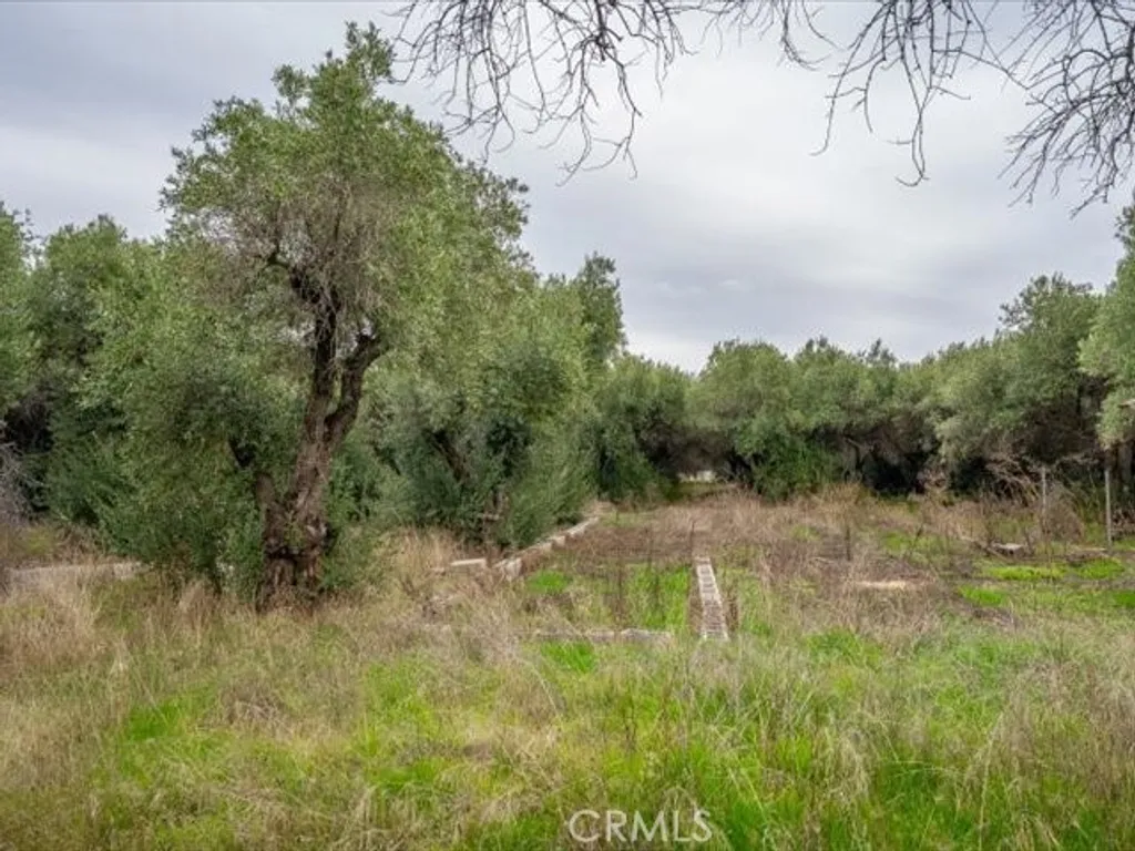 Additional image 41 of 5287 Barham Avenue, Corning, CA 96021