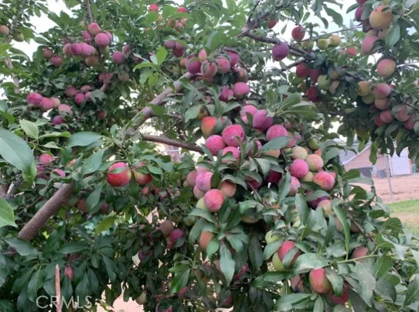 Additional image 149 of 5999 Homestead St, Jurupa Valley, CA 92509