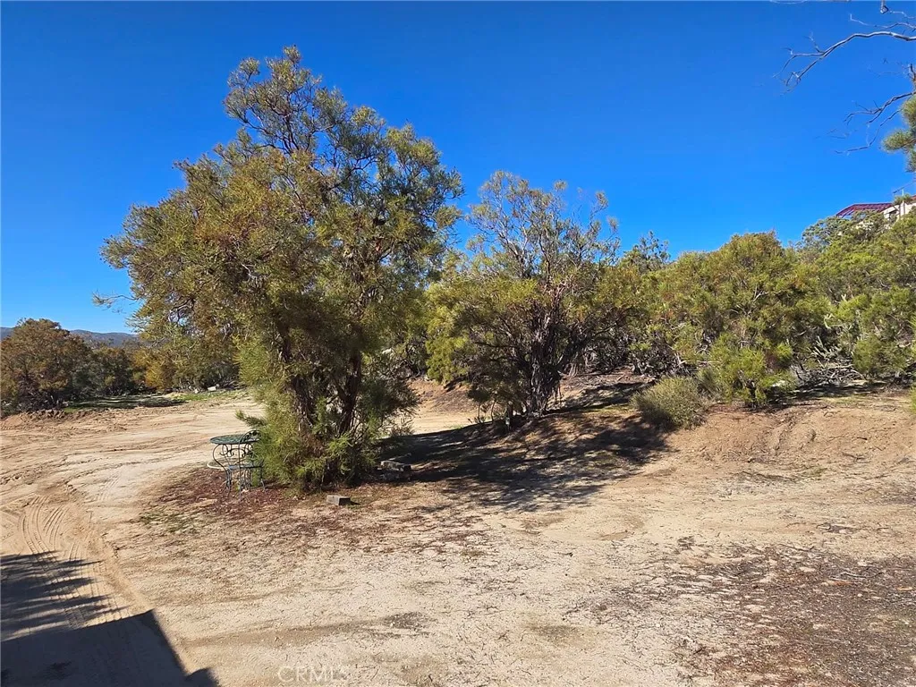 Additional image 101 of 42475 La Brinia Ln, Anza, CA 92539