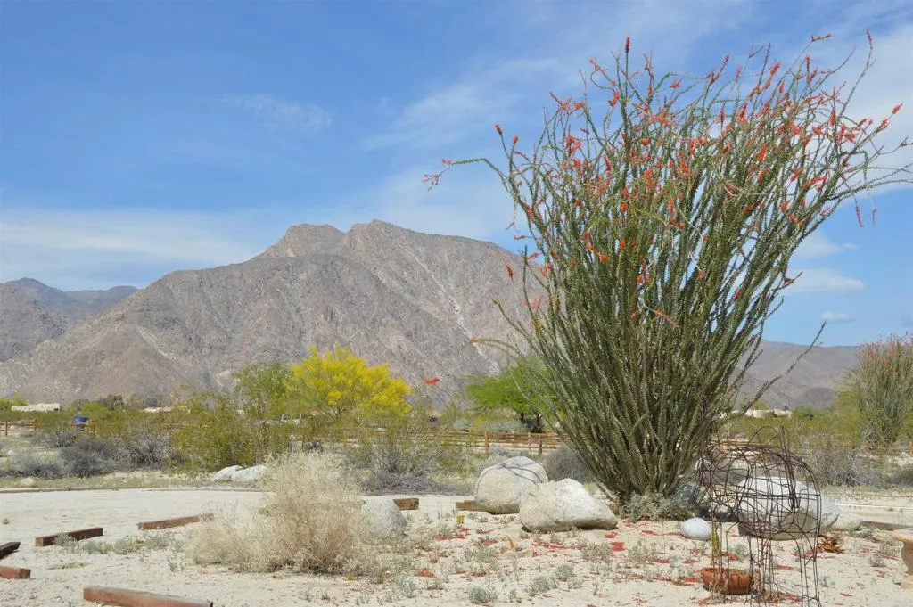 Additional image 45 of 437 Ocotillo Circle, Borrego Springs, CA 92004
