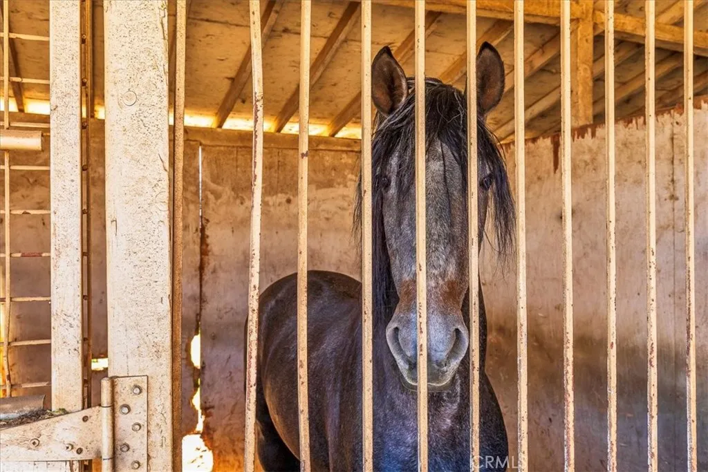 Additional image 39 of 22695 Margarth Street, Perris, CA 92570