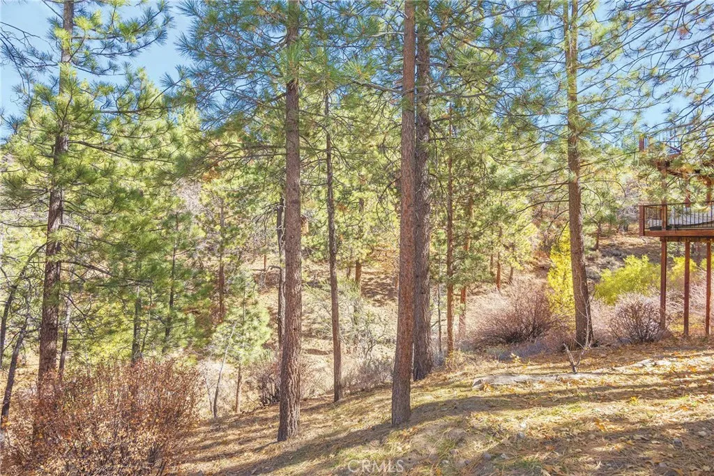 Additional image 34 of 1200 Minton Drive, Big Bear City, CA 92314