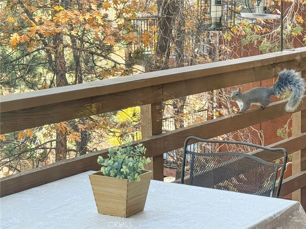 Additional image 86 of 1200 Minton Drive, Big Bear City, CA 92314