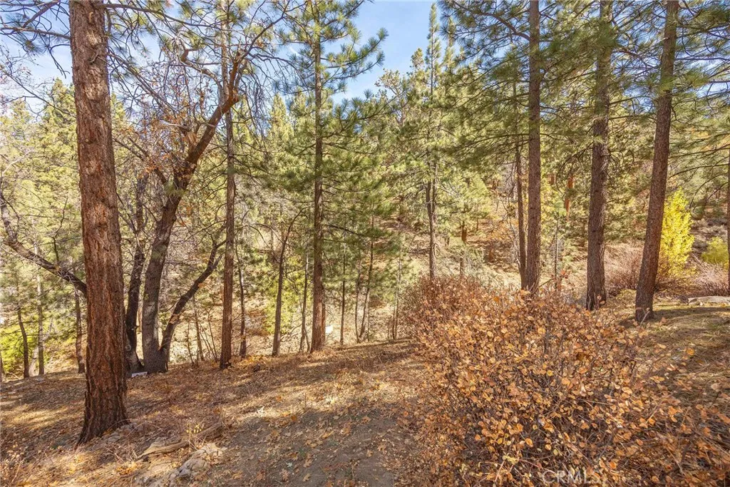 Additional image 74 of 1200 Minton Drive, Big Bear City, CA 92314