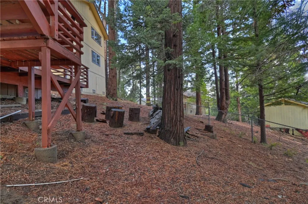 Additional image 61 of 558 Rose Ln, Twin Peaks, CA 92391