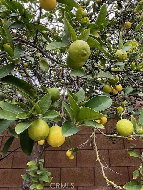 Additional image 42 of 8640 Westman Ave, Whittier, CA 90606