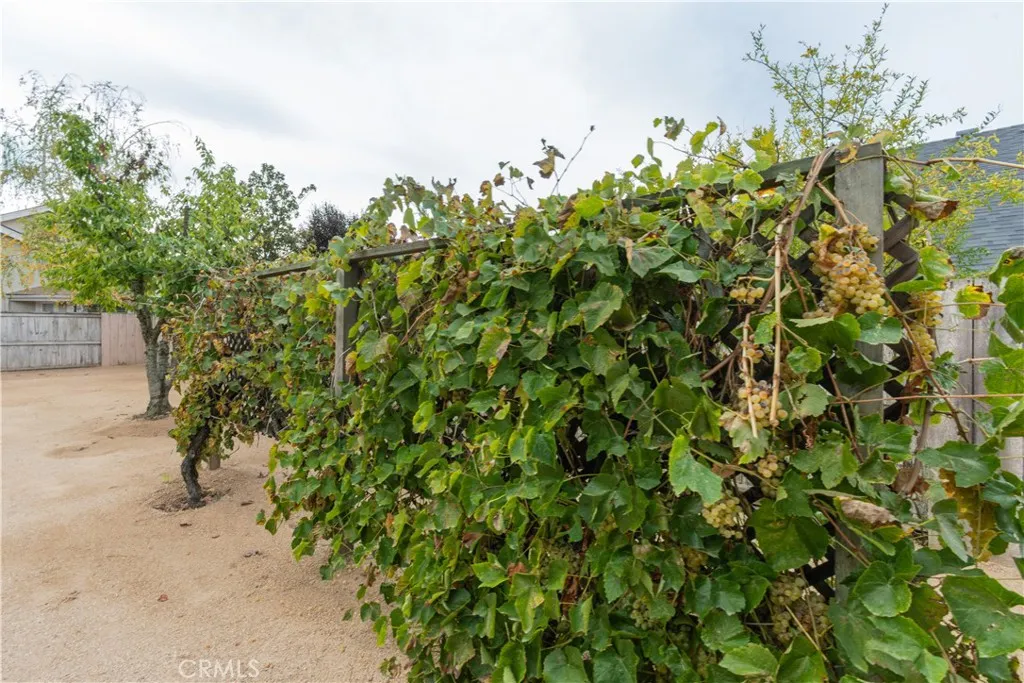 Additional image 15 of 928 Moody Court, Paso Robles, CA 93446