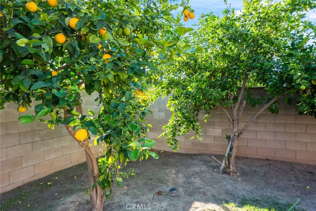 Additional image 60 of 1417 W Princeton Ave, Fresno, CA 93705