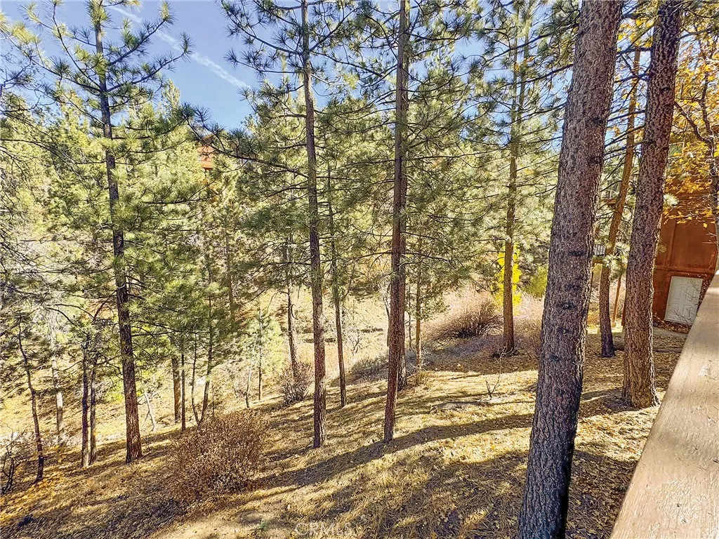 Additional image 108 of 1200 Minton Drive, Big Bear City, CA 92314